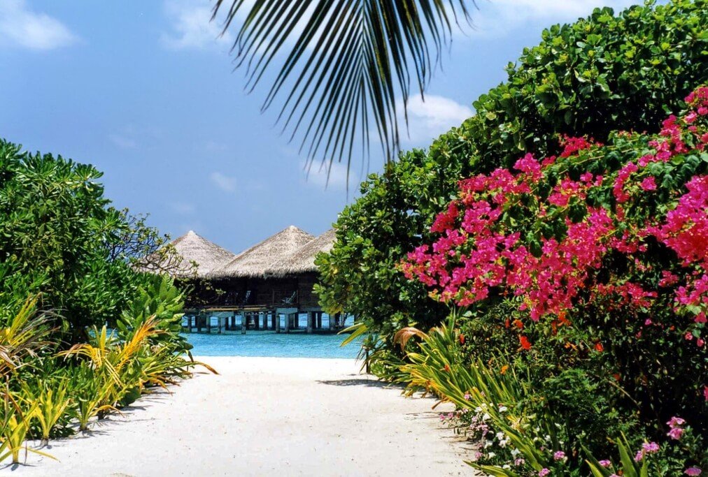 Baros Island Resort Maldives Header