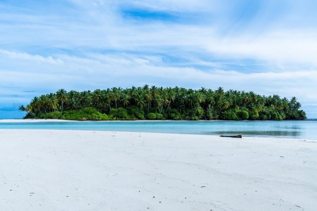 Vegetation in an Uninhabited Island in Dhaalu Atoll, Maldives